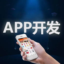 廈門市安卓蘋果APP軟件開發(fā)外包定制服務(wù) 構(gòu)建數(shù)字化未來的橋梁