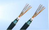 焦作鐵路電纜工廠 漏泄同軸電纜產(chǎn)品信息與批發(fā)優(yōu)勢